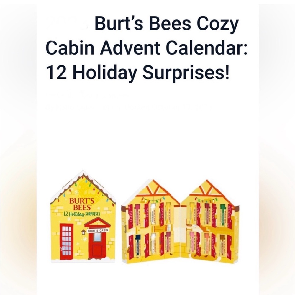 Burt’s Bees Cozy Cabin Holiday Surprises 12 Sticks of Lip Balm Various Flavors